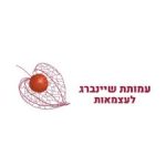 מכון קומראן (2)
